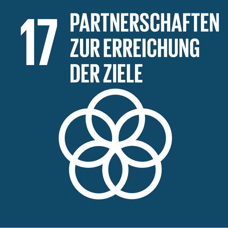 SDG 17 Partnerschaften zur Erreichung der Ziele
