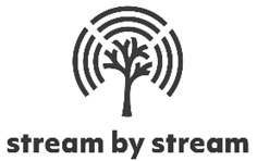 stream by stream Logo
