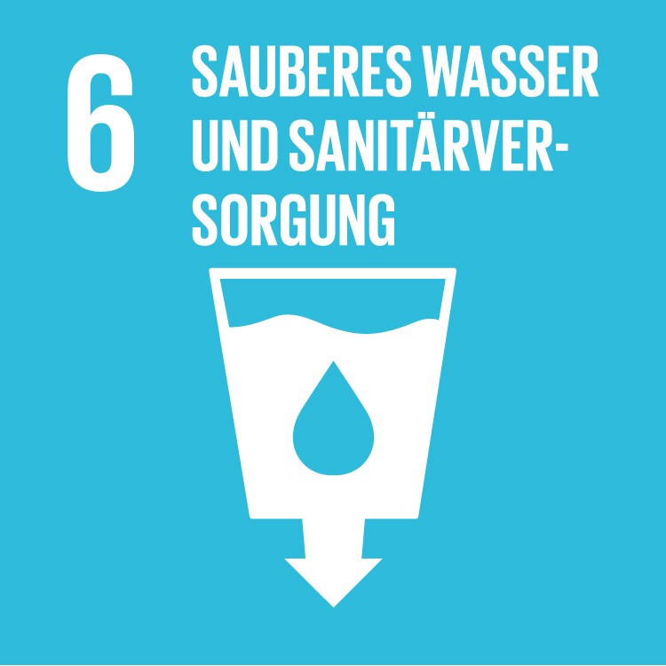 SDG 6 Sauberes Wasser